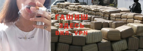 крисы Корсаков