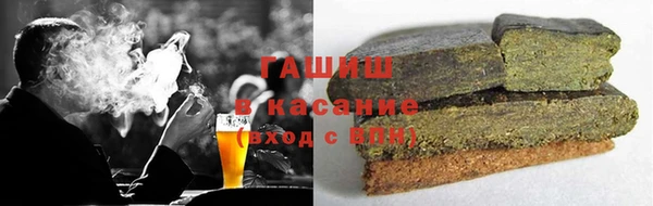 крисы Корсаков