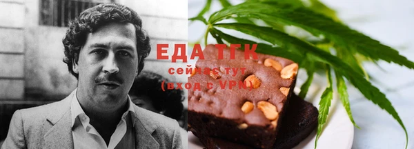 крисы Корсаков