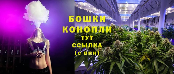 крисы Корсаков