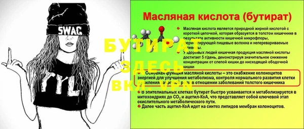 крисы Корсаков