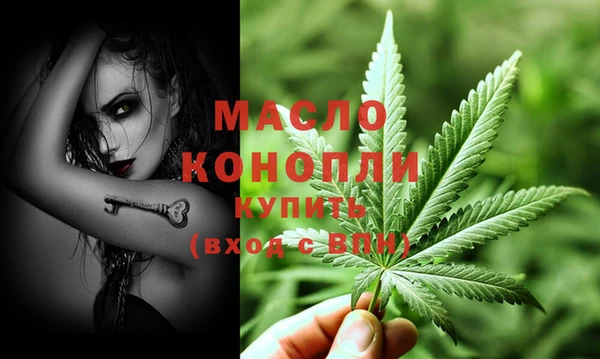 крисы Корсаков
