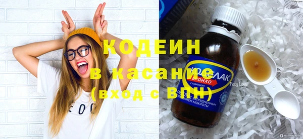 крисы Корсаков