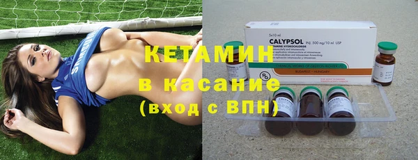 крисы Корсаков