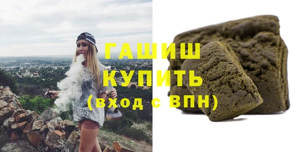крисы Корсаков