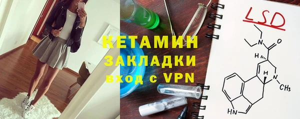 крисы Корсаков
