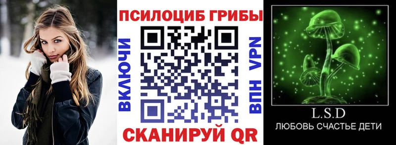 Купить  Барыш  Псилоцибиновые грибы MAGIC MUSHROOMS 